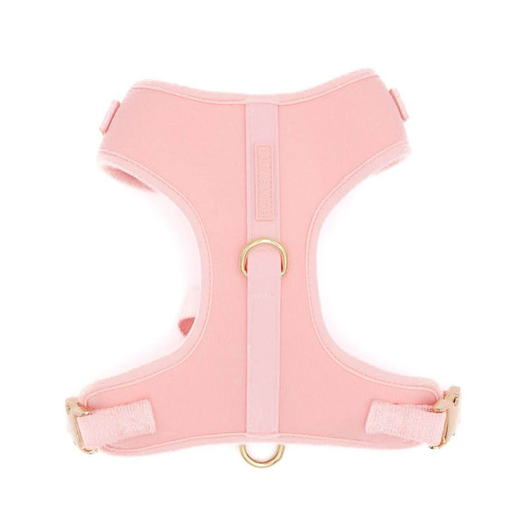 Elise Harness - Rose - The Max & Rex Collection