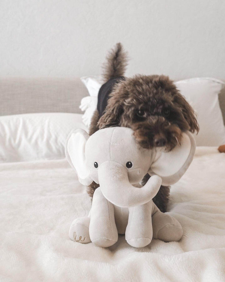 Ella Plushie - The Max & Rex Collection