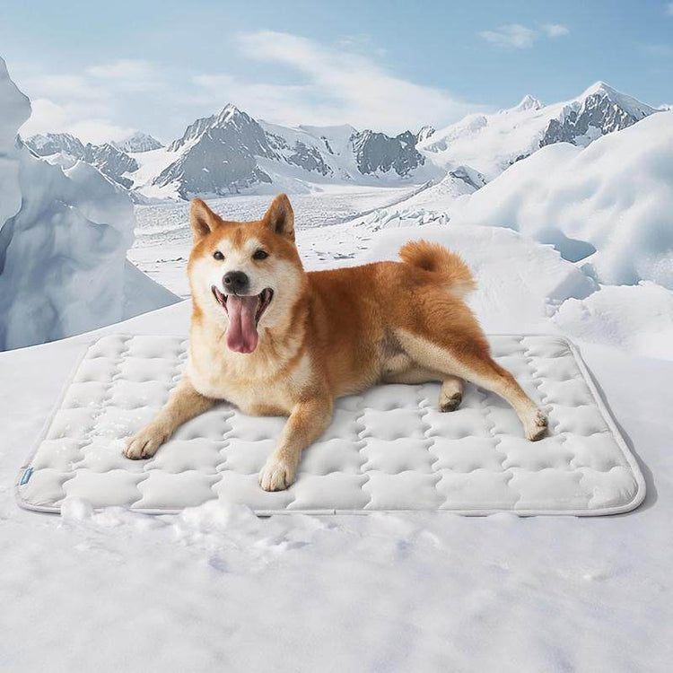 Bedsure Dog Cooling Mat – Washable Summer Crate Pad for Large Dogs (Up to 50 lbs), Non-Slip, Portable, QMAX>0.5 Cooling Tech - The Max & Rex Collection