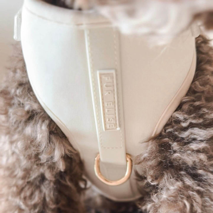 Elise Harness - Bone - The Max & Rex Collection