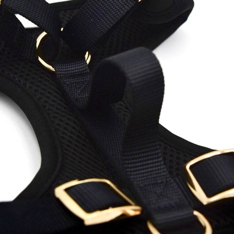 Elise Harness - Noir - The Max & Rex Collection