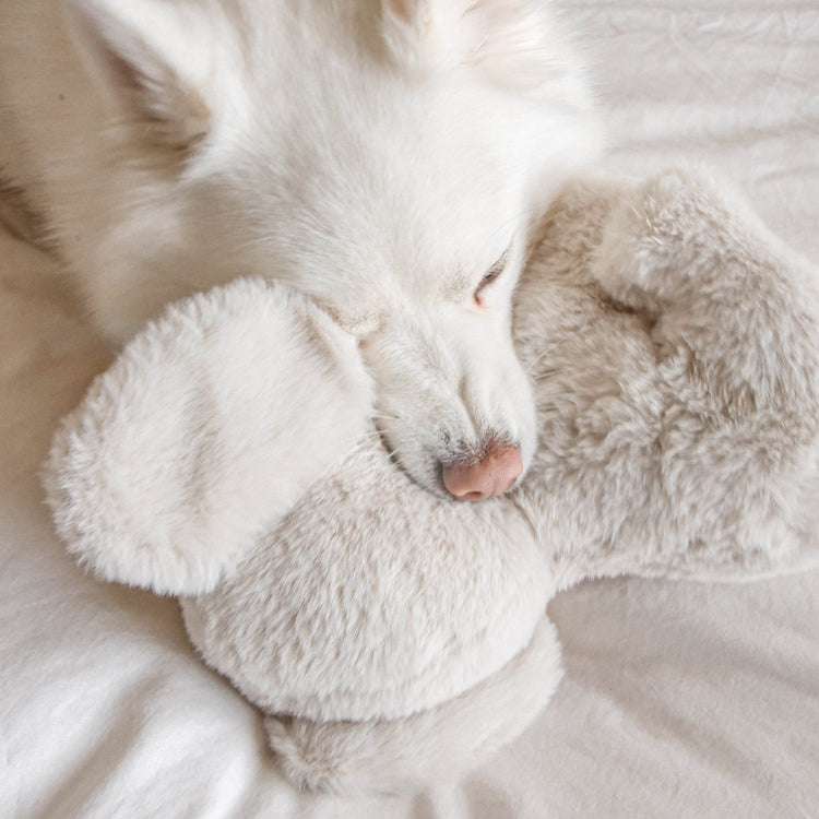 Ella Plushie - The Max & Rex Collection