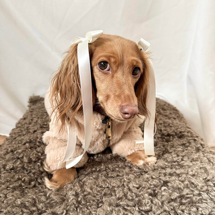 Furi Pet Coat - Sand - The Max & Rex Collection