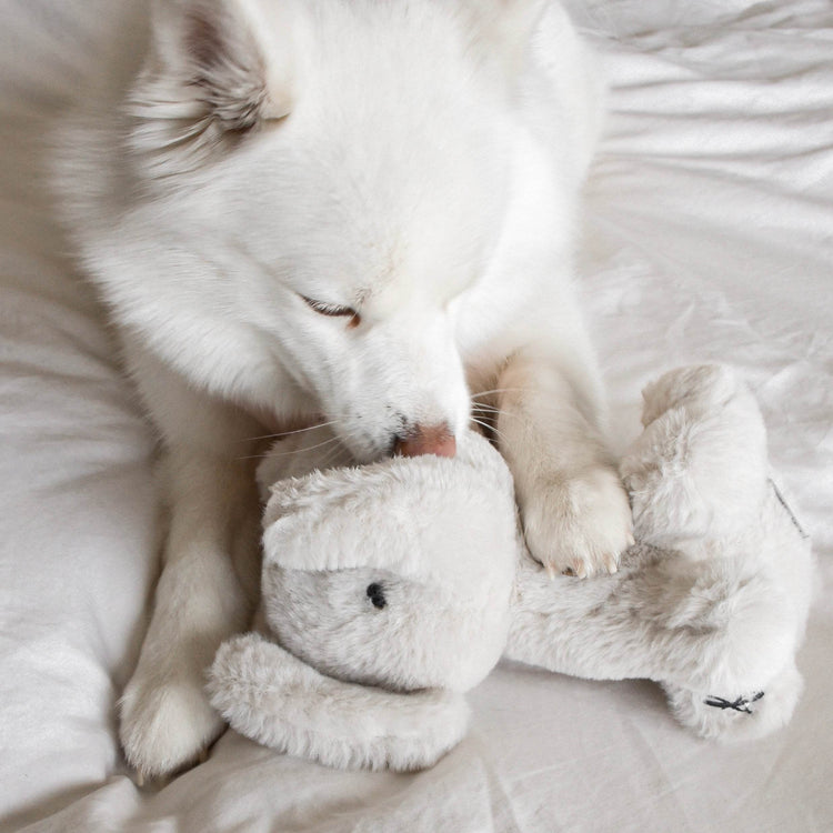 Ella Plushie - The Max & Rex Collection