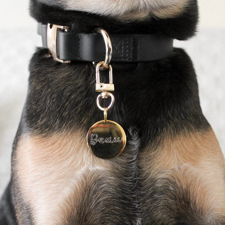 Elise Collar - Noir - The Max & Rex Collection
