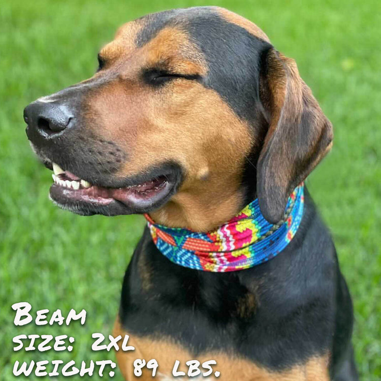 Bedouin Paws Pup Scruff - The Max & Rex Collection