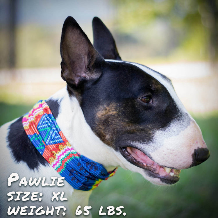 Bedouin Paws Pup Scruff - The Max & Rex Collection