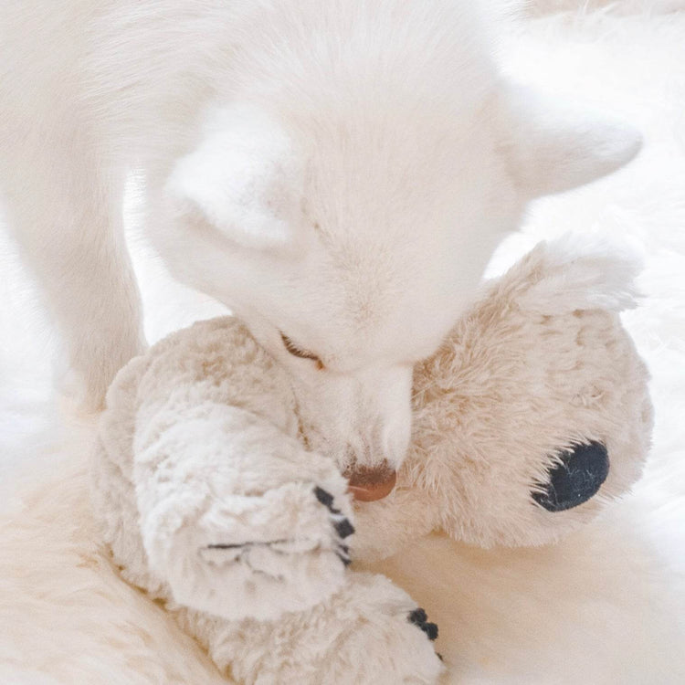 Koko Maxi Plushie - The Max & Rex Collection