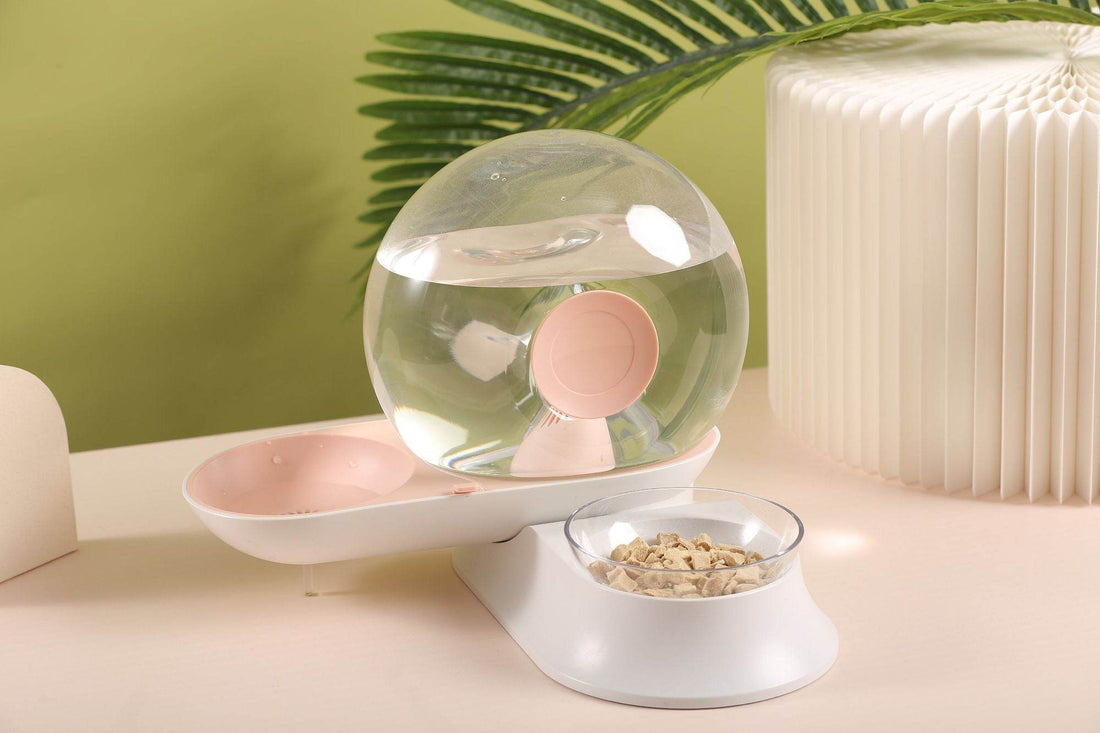 Modern Water Bowls & Feeders
