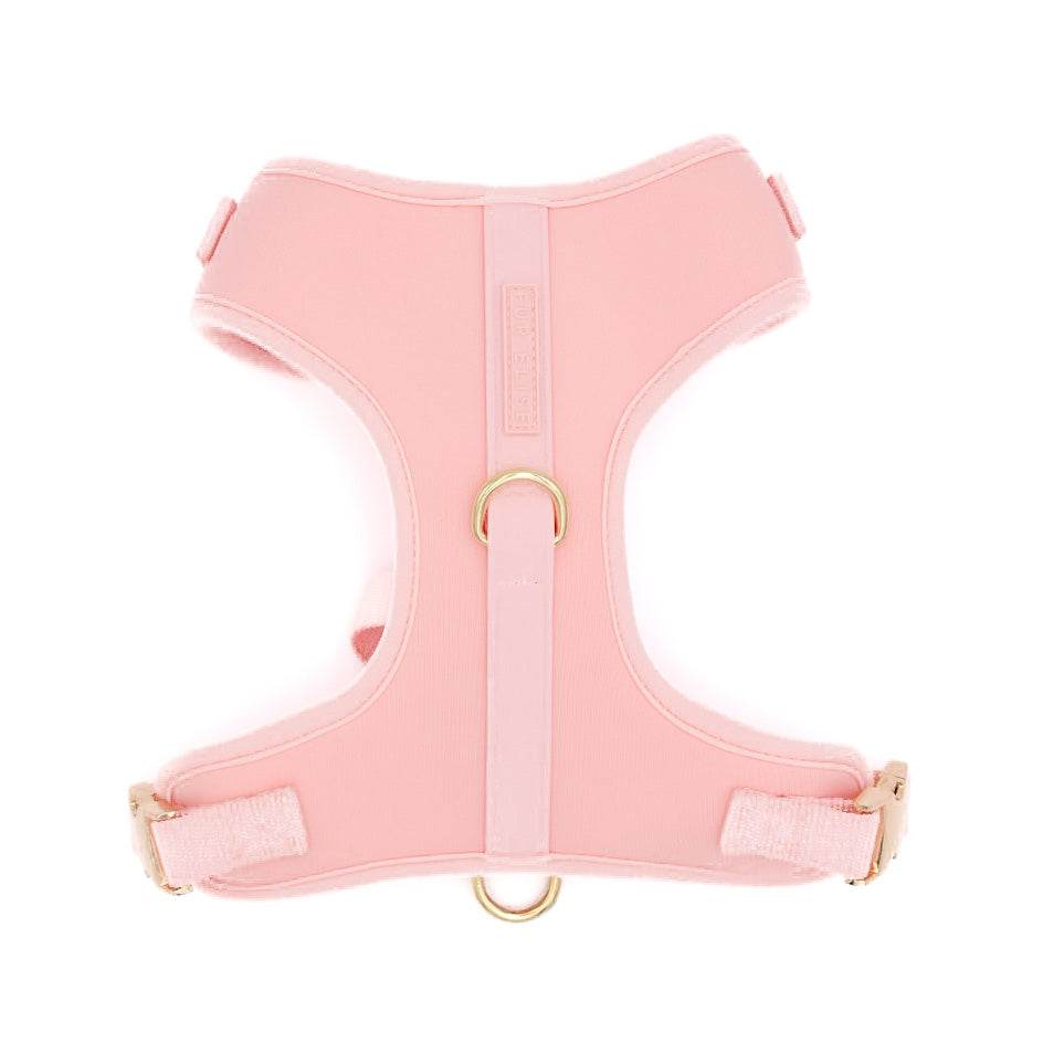 Elise Harness - Rose - The Max & Rex Collection