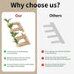 2-Pack Cat Wall Steps with Jute Scratching - Natural Wood Wall-Mounted Cat Stairs & Shelves | Decorative Leaf Design Cat Climbing Furniture - The Max & Rex Collection