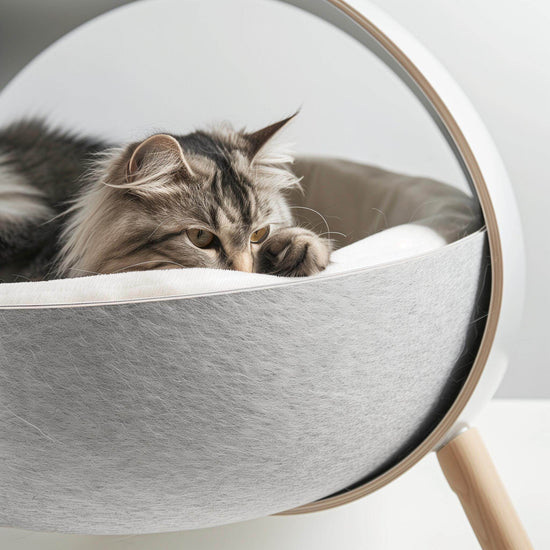 animals-and-pet-supplies-minimal-2-middle_a2aae3cc-0c46-4a62-bc14-0f0e587d893e - The Max & Rex Collection
