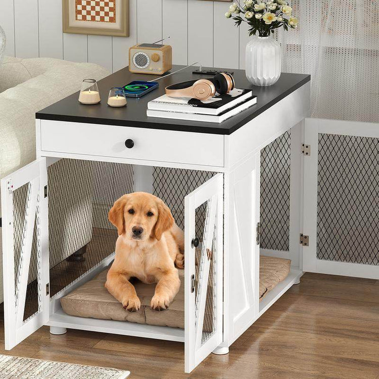 Dog Furniture