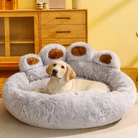 Big Paw Plush Pet Sofa Bed – Washable Dog & Cat Bed with Calming Raised Edges (Small to XL) - The Max & Rex Collection