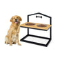 Adjustable Elevated Dog Feeder with 5 Height Settings - Premium Raised Pet Feeding Station with 2 Large Stainless Steel Bowls - The Max & Rex Collection