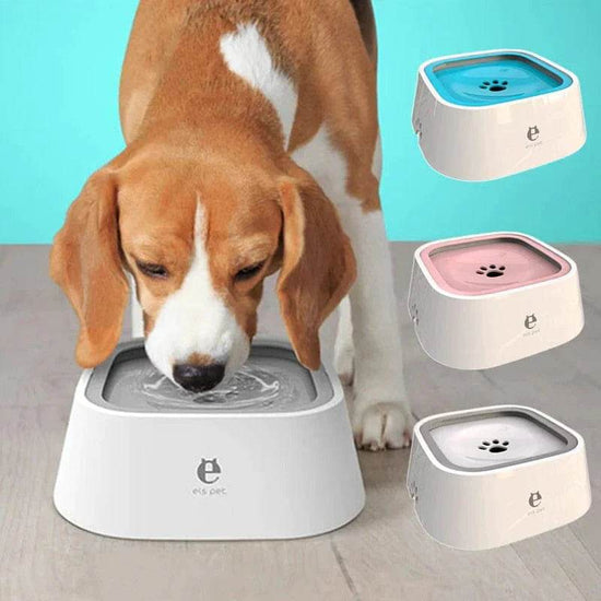 Dog Drinking Water Bowl with Floating Design - Non-Wetting, Non-Skid, Large Capacity - The Max & Rex Collection