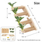 2-Pack Cat Wall Steps with Jute Scratching - Natural Wood Wall-Mounted Cat Stairs & Shelves | Decorative Leaf Design Cat Climbing Furniture - The Max & Rex Collection