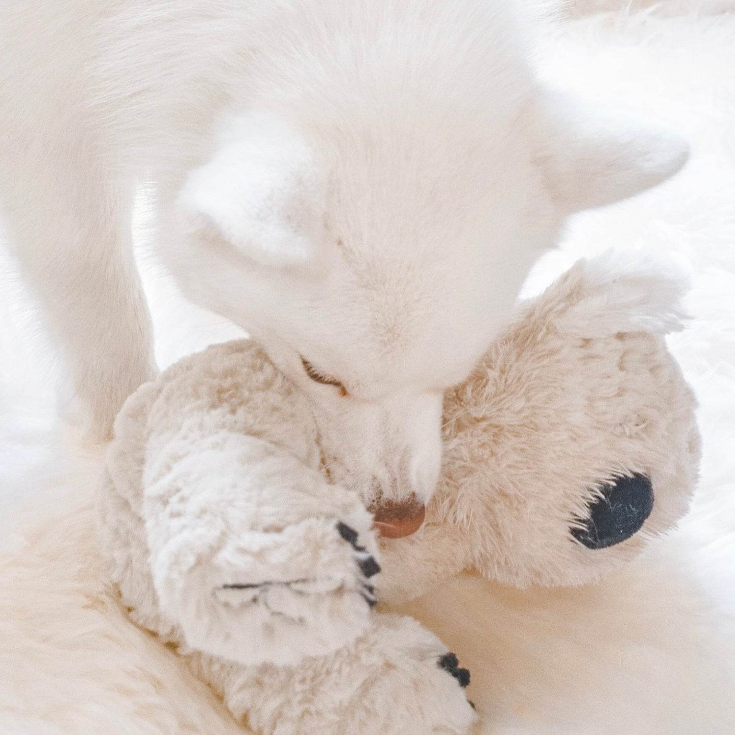 Koko Maxi Plushie - The Max & Rex Collection