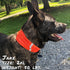 Smash Crackle Orange Pup Scruff - The Max & Rex Collection