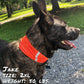 Smash Crackle Orange Pup Scruff - The Max & Rex Collection